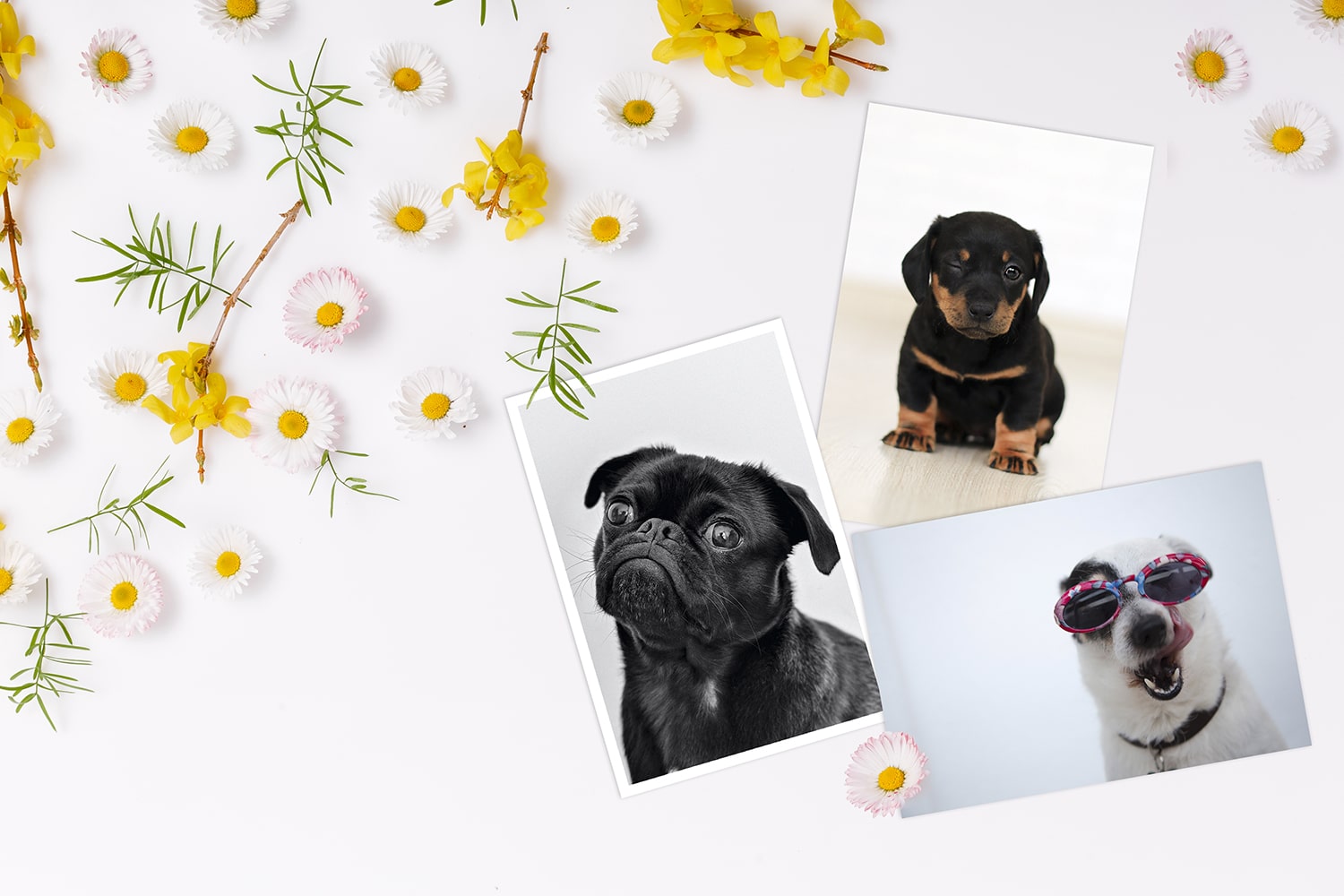 Revelado express 9x13