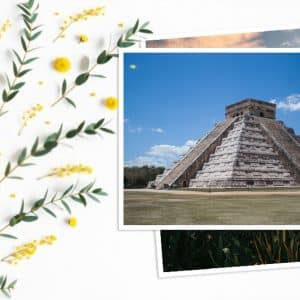 Revelado express 15x20