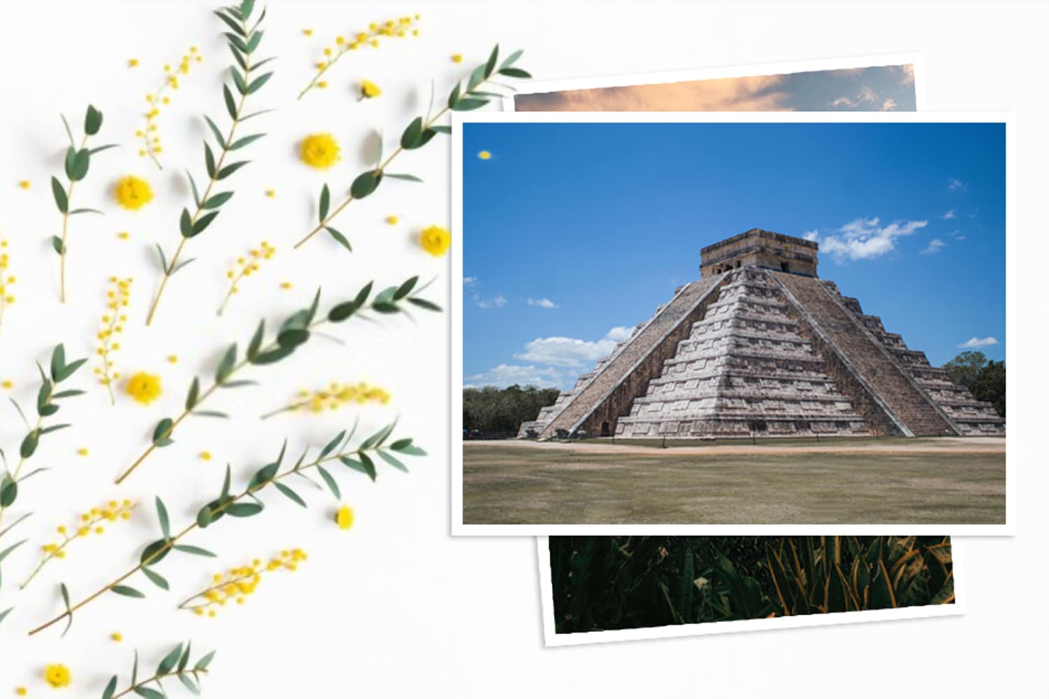 Revelado express 15x20