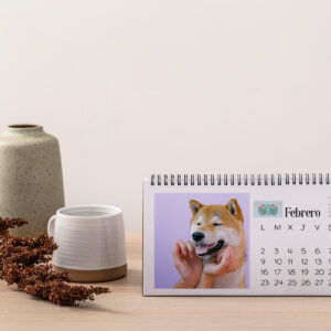 Calendario Mesa - 12 Fotografías