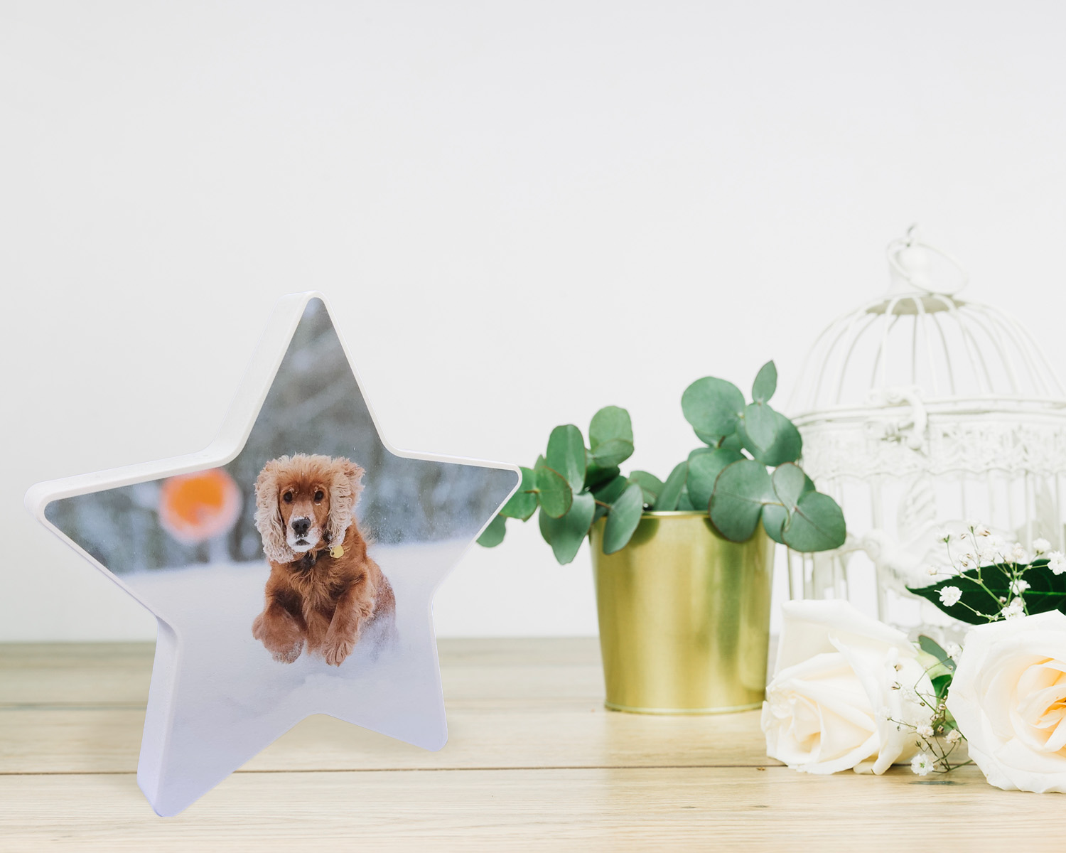 estrella PVC Impresa