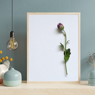 Decoración mural con fotos impresas personalizadas